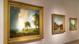 Paintings on the wall of an art gallery