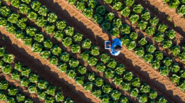 An agricultural field