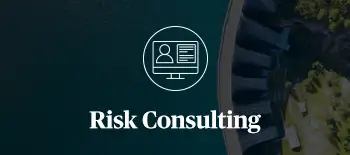 A thumbnail for Risk Consulting Webinars