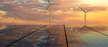 Insights report 2025