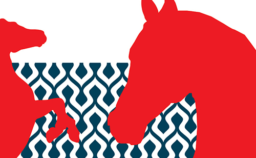 The Arabia Horse: A Distinctive Beauty