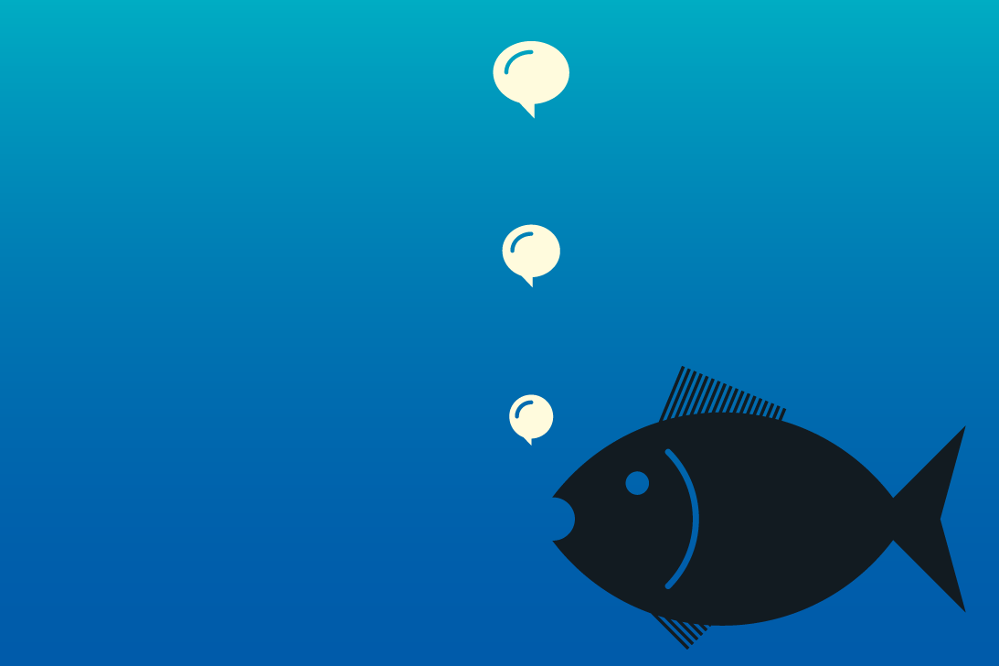 We need to listen to the fish