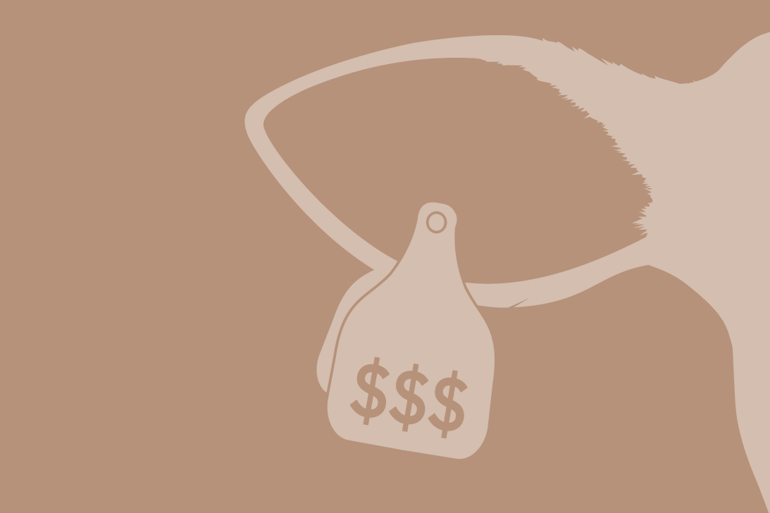 Livestock Insurance_Protecting the Big Business of Beef AXA XL