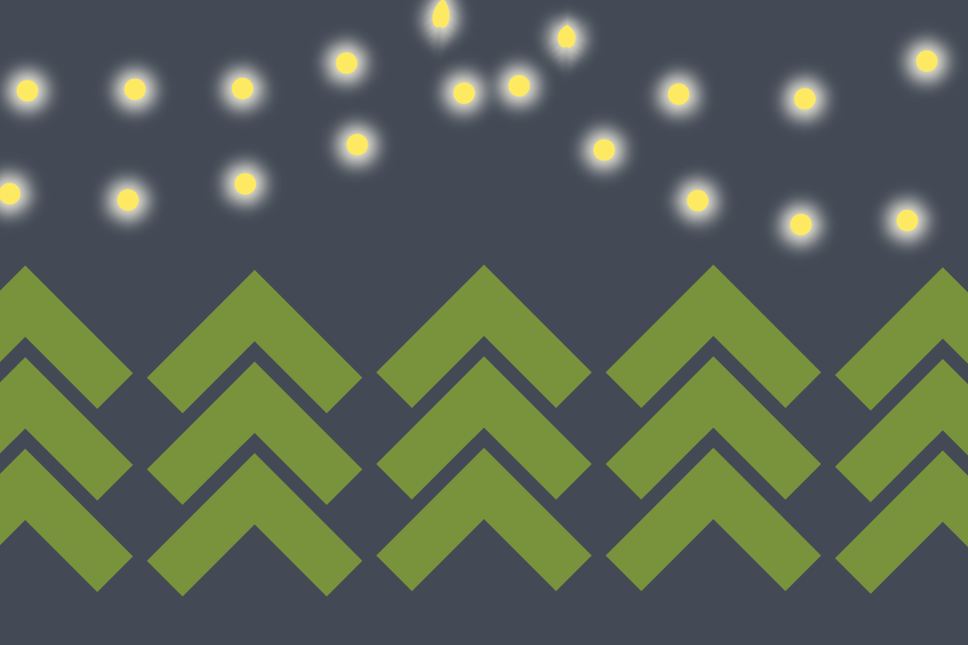 Where are all our Christmas trees?