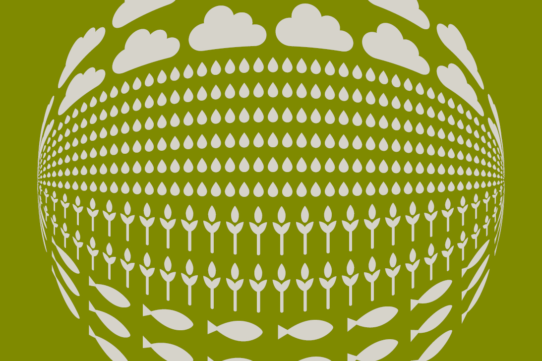 La globalización de la protección medioambiental