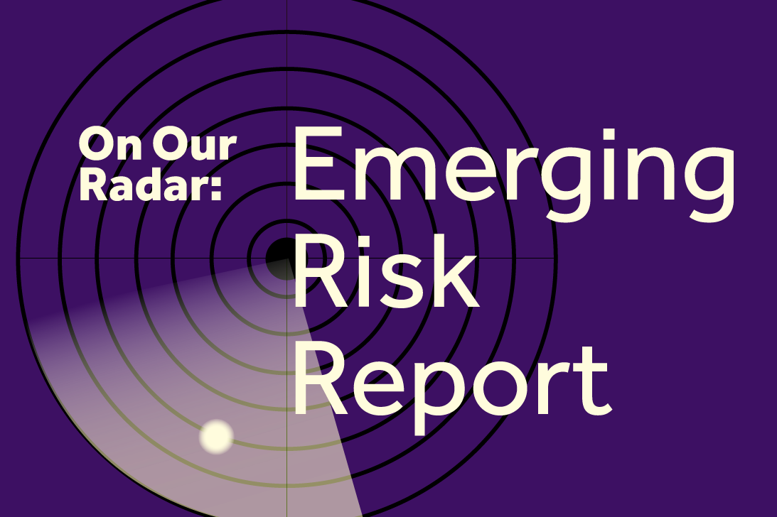 Los riesgos emergentes que estamos observando y las razones por las que lo hacemos