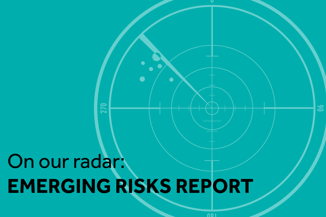 ¿Por qué están estos riesgos emergentes bajo nuestra lupa?