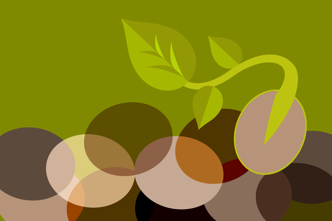 Spilled beans? No worries, Part 2