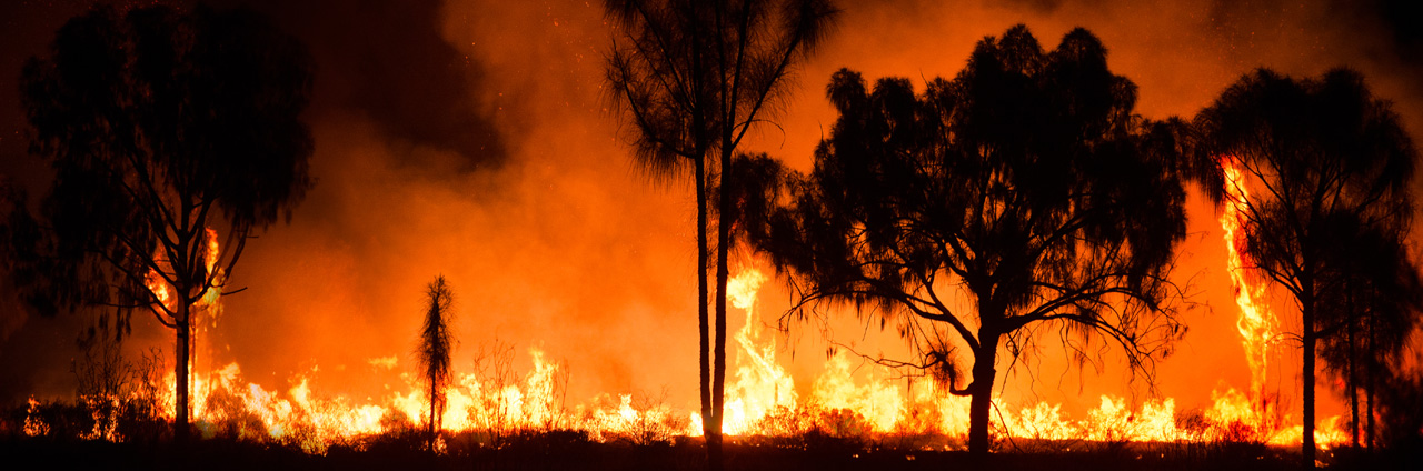 Prevent wildfires in construction