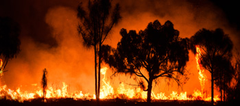 Sounding the alarm:  Wildfire exposure and prevention in construction