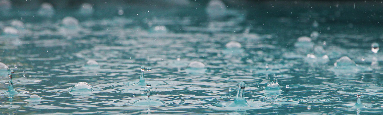 Seguro param&eacute;trico: certo, r&aacute;pido e econ&ocirc;mico