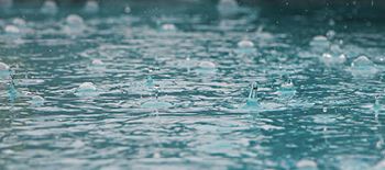 Assicurazione parametrica: sicurezza, rapidità ed efficienza