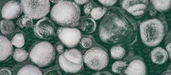 Dem Sturm trotzen – Absicherung von Hagelrisiken durch parametrische Lösungen