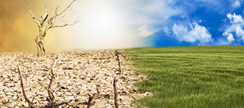 Perché ricorrere a coperture assicurative può rendere i Paesi più resilienti: sfide, opportunità e preconcetti