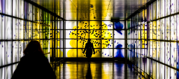 Negli occhi di chi guarda; perch&eacute; l’expertise locale &egrave; la chiave per capire i rischi del mondo dell&rsquo;arte