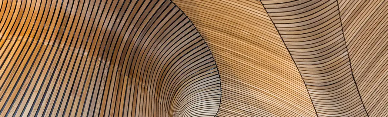 Risk considerations in mass timber construction