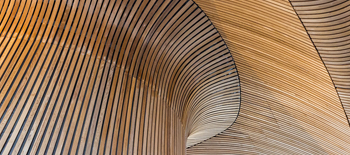 Risk considerations in mass timber construction