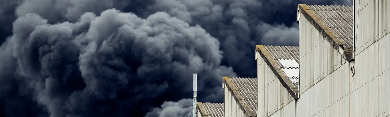 Wildfires: A Newly Emergent and Persistent Threat to Industrial Facilities