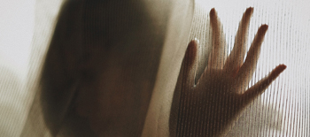 Revived statutes continue to raise exposure to sexual abuse claims in the United States