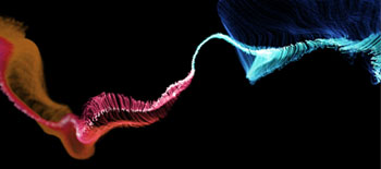 L&rsquo;arte come valore da proteggere