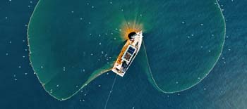 Plenty more fish in the sea? How the insurance industry can help put an end to illegal fishing