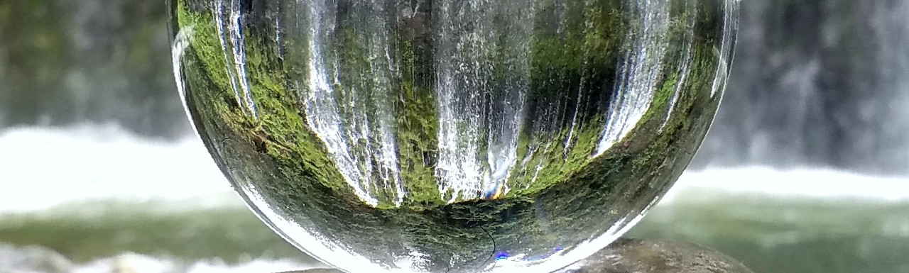 Environmental sensitivity tool Environmental sensitivity tool