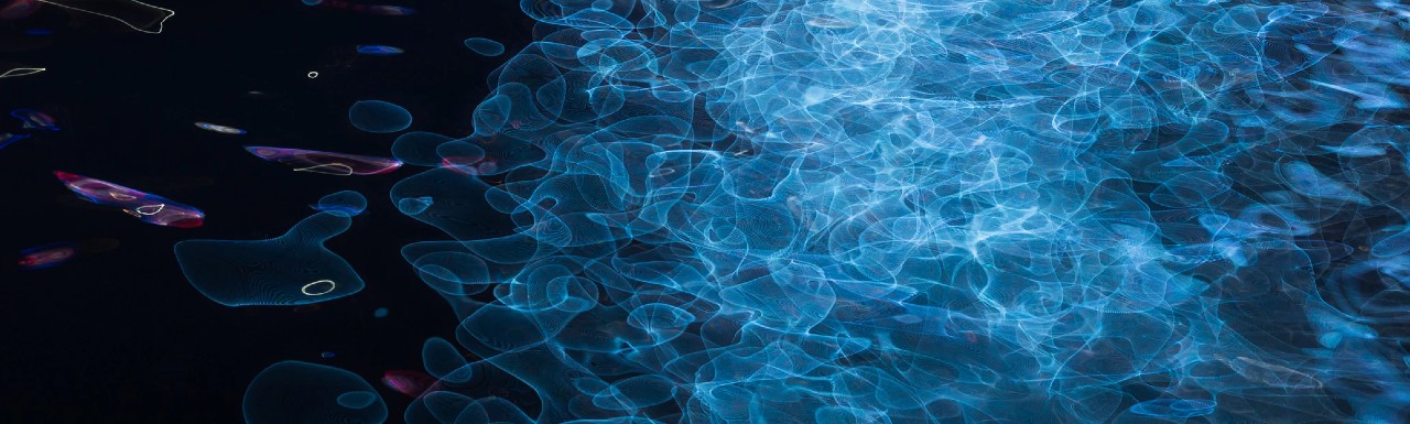 Aquaculture moves onshore