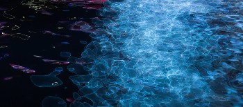 La pisciculture entre terre et mer