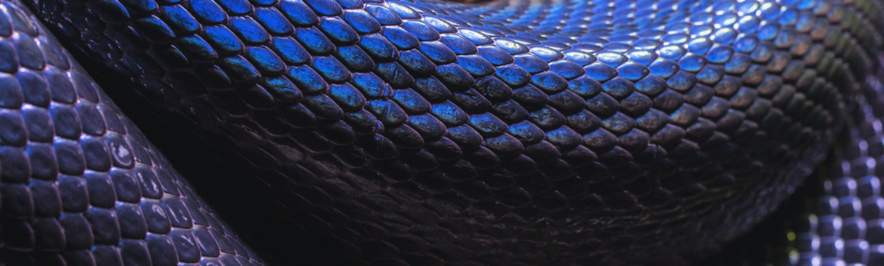 Social inflation, nuclear verdicts, and reptile theory: 5 ways to protect your A/E firm