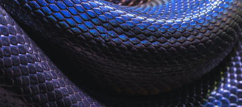 Social inflation, nuclear verdicts, and reptile theory: 5 ways to protect your design firm