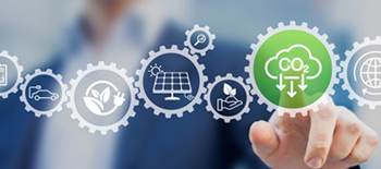Compensazione delle emissioni di carbonio: quale ruolo possono giocare le&nbsp; assicurazioni?