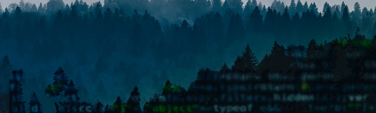 Maximizing cyber protection with tools you already have