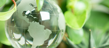 Un nouvel environnement pour la responsabilité environnementale  