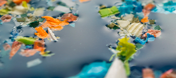 Micropl&aacute;sticos: un futuro riesgo emergente&nbsp;