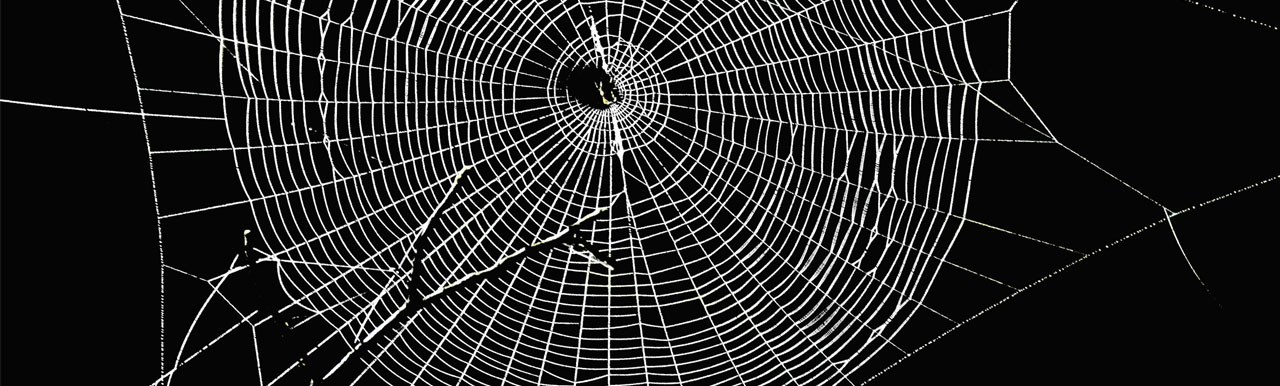 The Emerging Risk of Data Extortion The Emerging Risk of Data Extortion