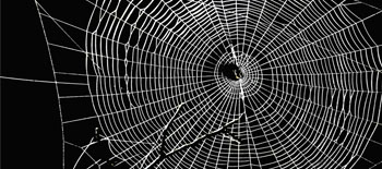 Cyber risk gets personal: The emerging risk of data extortion