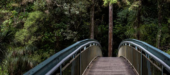 Addressing biodiversity loss: Opportunities and risks for design professionals