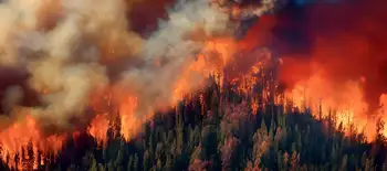 A new way of managing wildfire risk