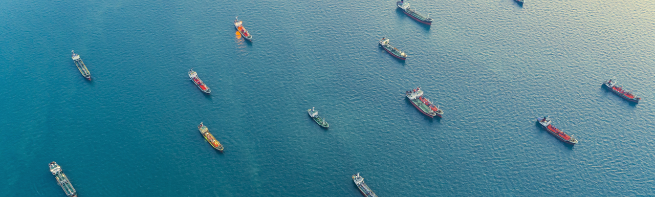 The maritime shipping industry