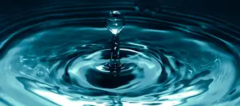 Wie k&ouml;nnen wir die Natur nutzen, um Wasserrisiken zu bek&auml;mpfen?