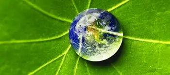 Assicurare il futuro dell’ambiente