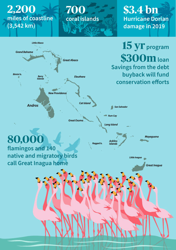 Blue bonds_Bahamas_infographic_600x850
