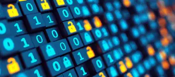 The rising risk of digital monocultures