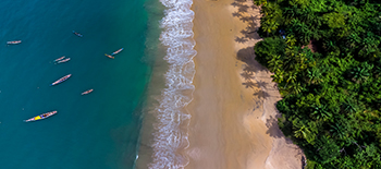 Social impact: enabling a fairer transition and climate response