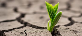 Resilient future of wholesale market_350x155 Resilient future of wholesale market_350x155