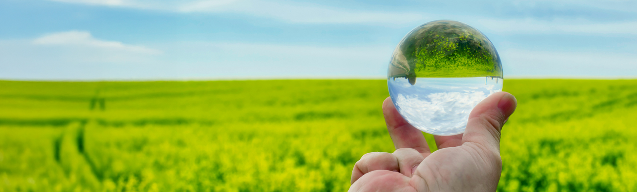 Scope of environmental risk expanding_1280x385