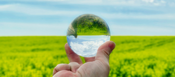 Scope of environmental risk expanding_350x155