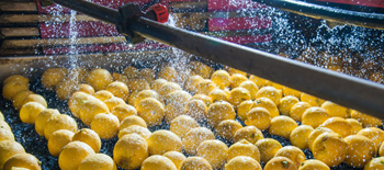 Preparation the key to a successful product recall