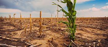 London Climate Action Week: how insurance can enable change
