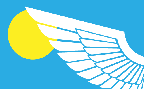 A Pilot's Perspective on Aviation Risk